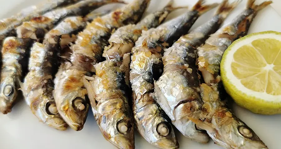 JamSpain Holidays - Travel Agency - Gastro Tour